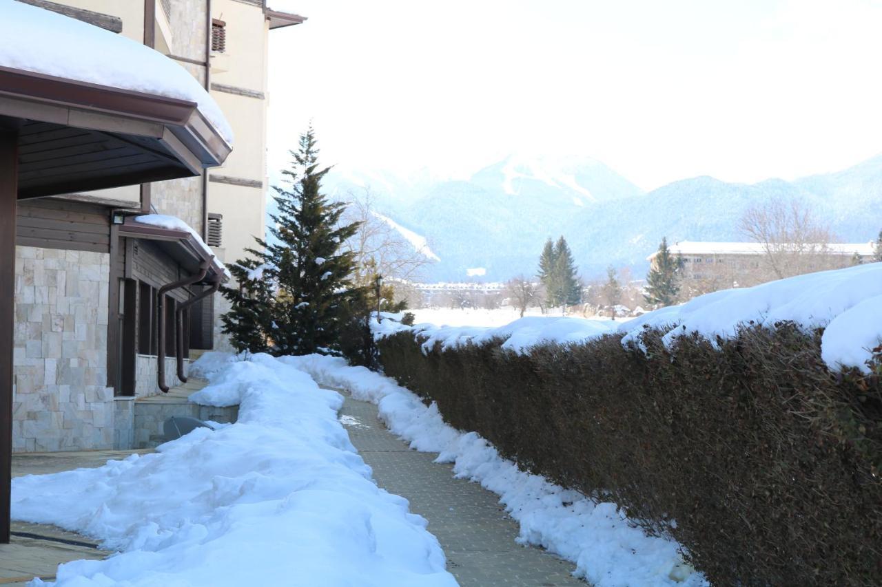 Private Apartments In Alpine Lodge Bansko Extérieur photo